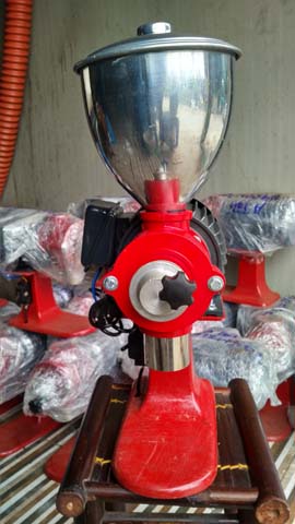 Máy xay cà phê TSD 350W
