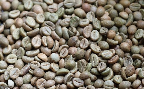 Cà phê Vối - Robusta Cà phê Vối - Robusta