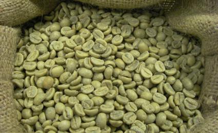 Cà phê chè - Arabica