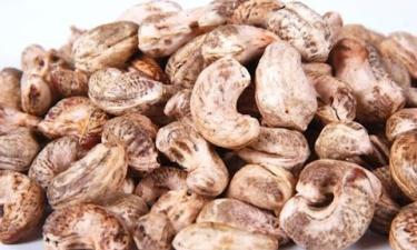 Embedded thumbnail for Chẻ hạt điều thô, phân loại, bắn màu nhân hạt điều sống