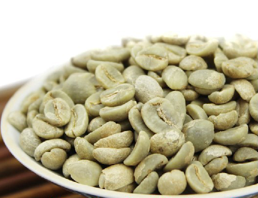 Arabica - Typica Arabica- Typica